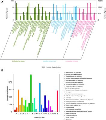 Transcriptome Analysis to Study the Molecular Response in the Gill and Hepatopancreas Tissues of Macrobrachium nipponense to Salinity Acclimation